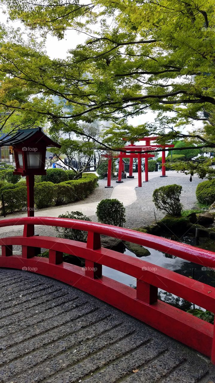 Japanese garden with red bridge and torii gates