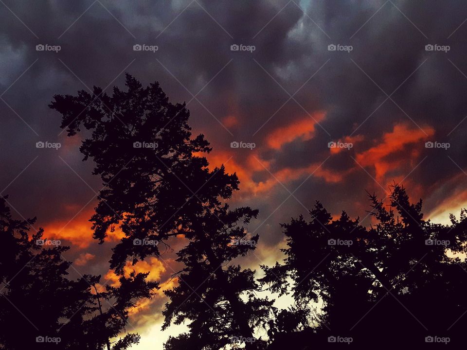 "A Golden Sky,
Burning Perfection.
Dark Clouds Above,
Flooding The Deception."

-ZariiBee