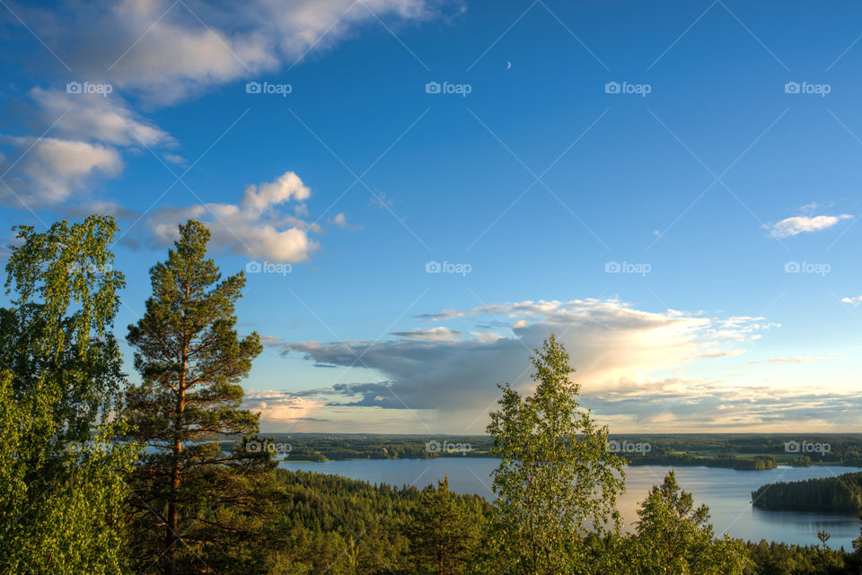Lakescape and forest on Finland in the evening light.