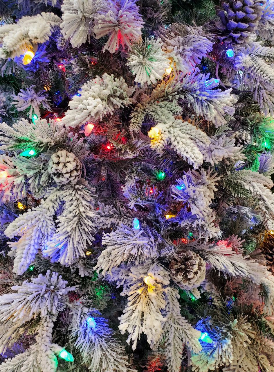 Christmas Tree of Snow and Lights