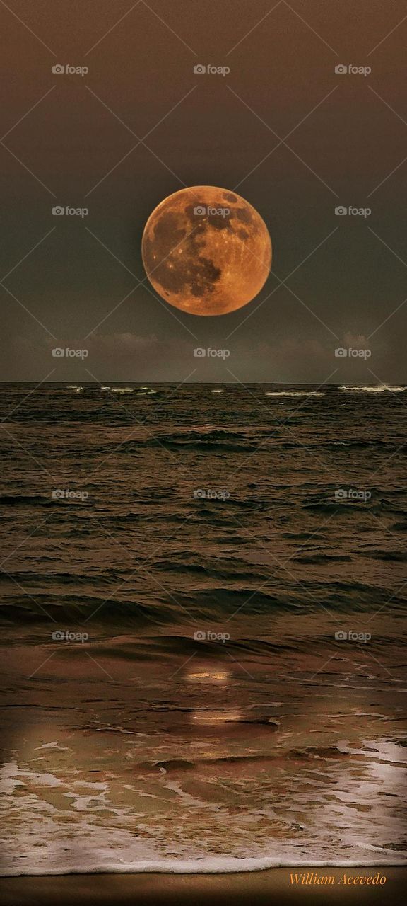 The wonders of Nature