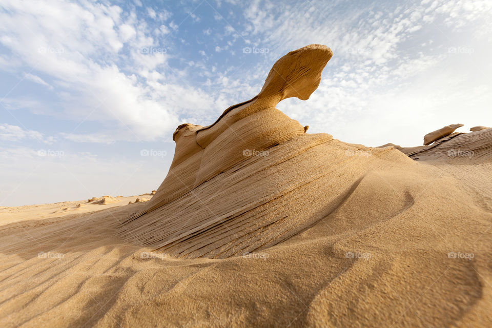Fossil sand rocks in the desert