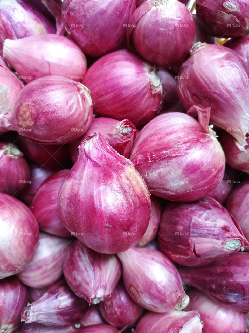 pile of shallots