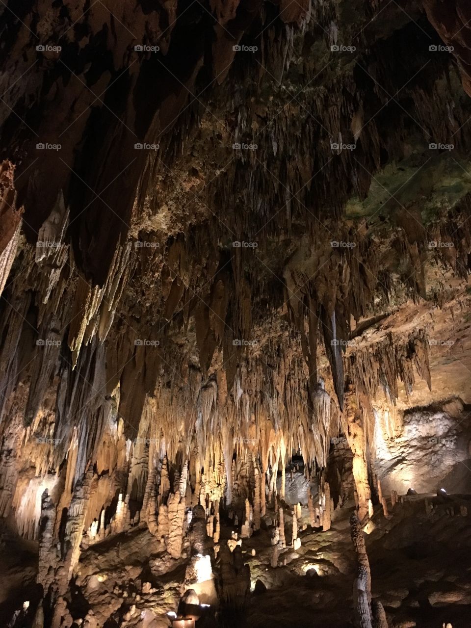 Huge stalactites from a cavern ceiling in Virginia.