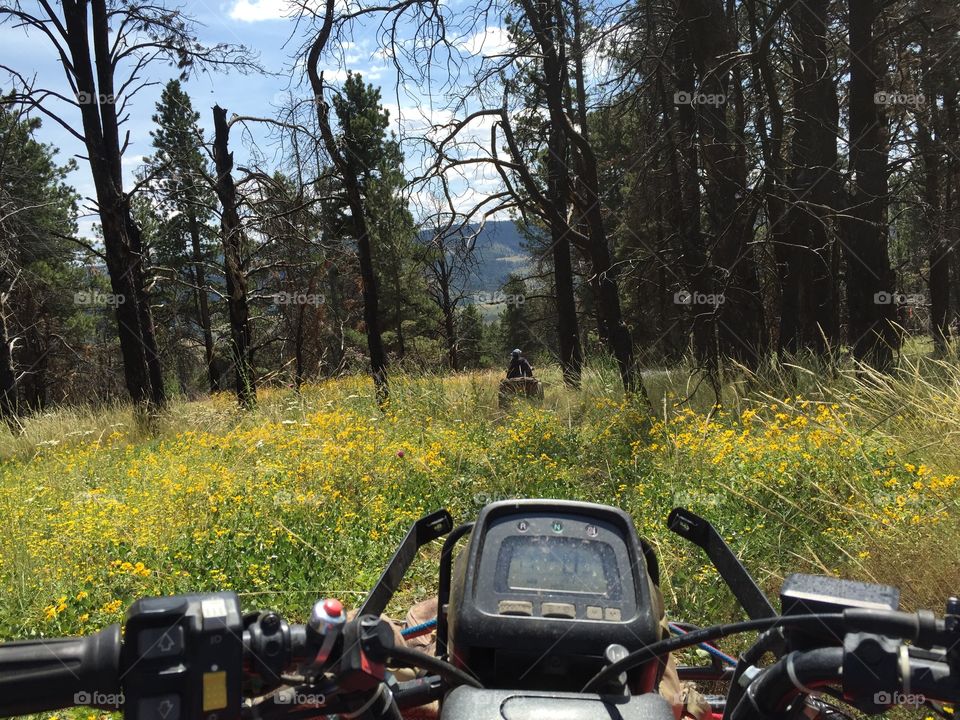 Riding an ATV . Riding an ATV 4-wheeler through the forest in the mountains