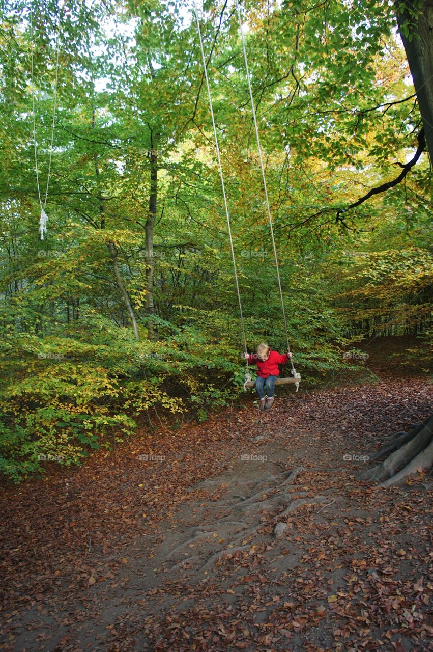 Wood, Leaf, Tree, Fall, Nature