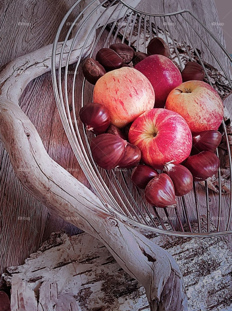 Korb mit Äpfeln und Maronen, Dekoration, Birke, Schwemmholz, Treibholz, herbstlich, Herbst