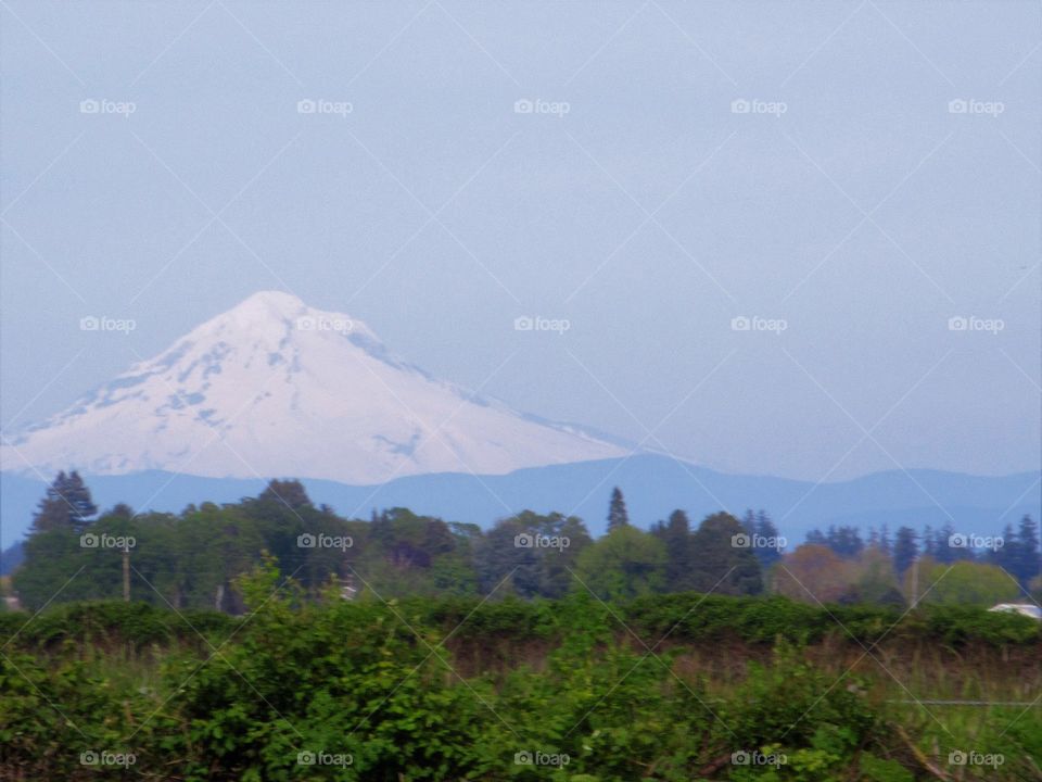 Mt Hood and Willamette Valley
