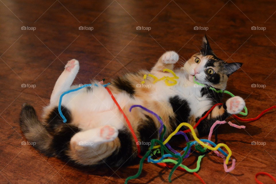 Pipe Cleaner Attack