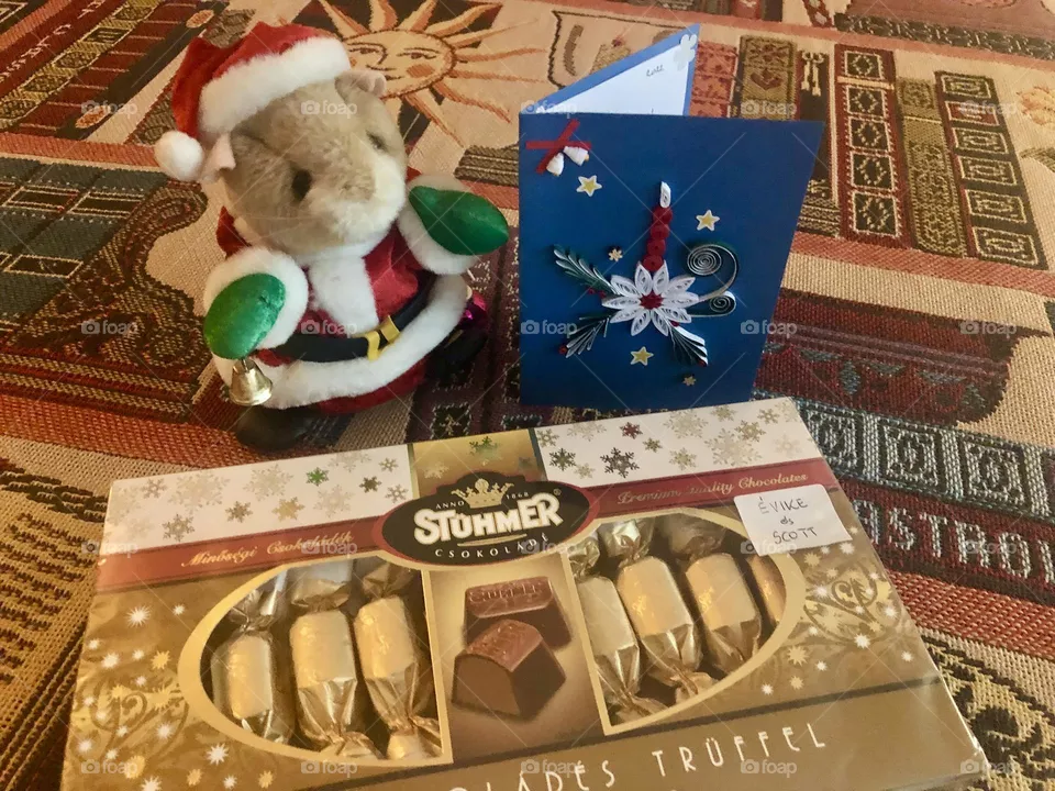 Seasonal gifts & chocolates from Hungary 🇭🇺