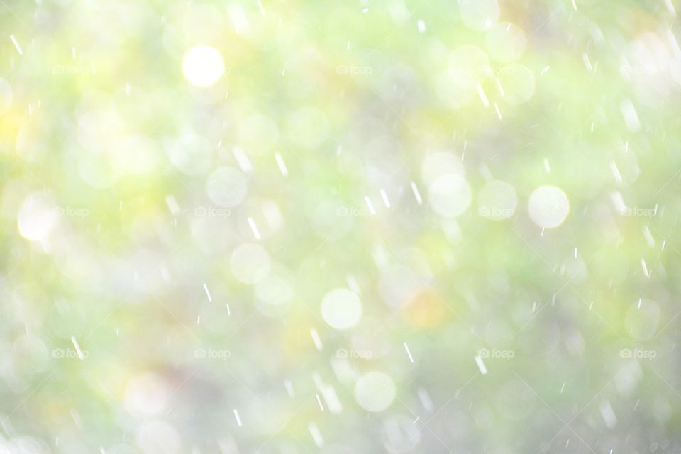 Close-up of rain and sunlight