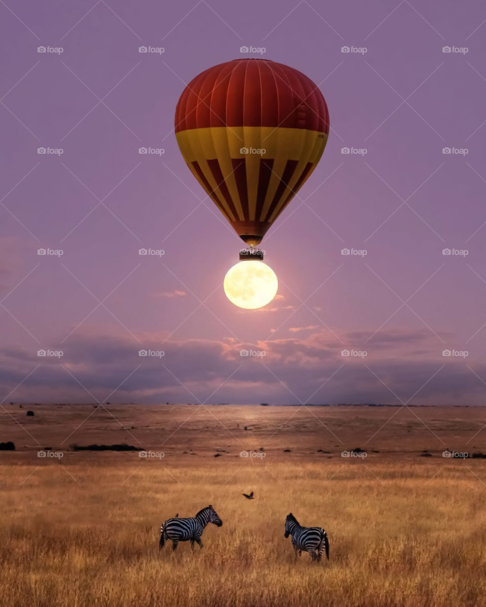 Hot Air Balloons On Field Against Sky During Sunset