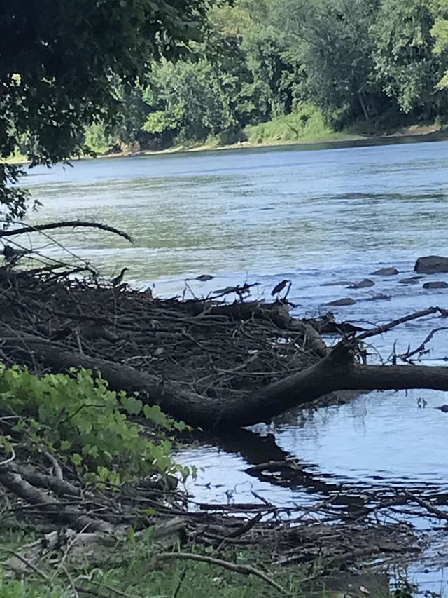 River