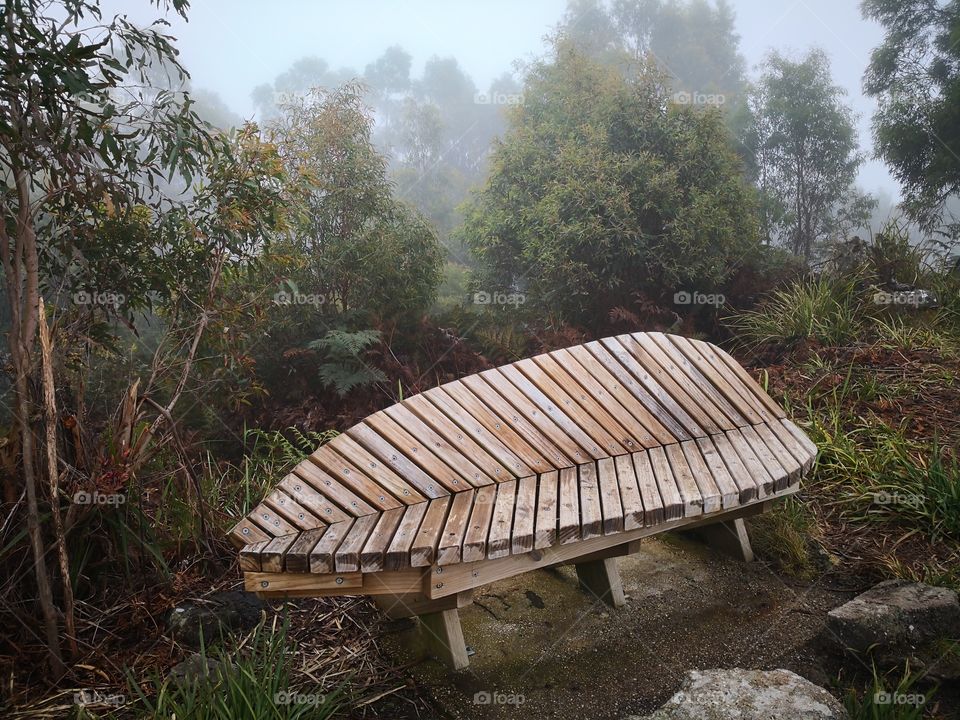 Leaf bench in the mist