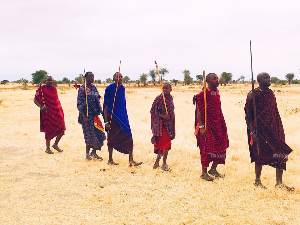 the Maasai 