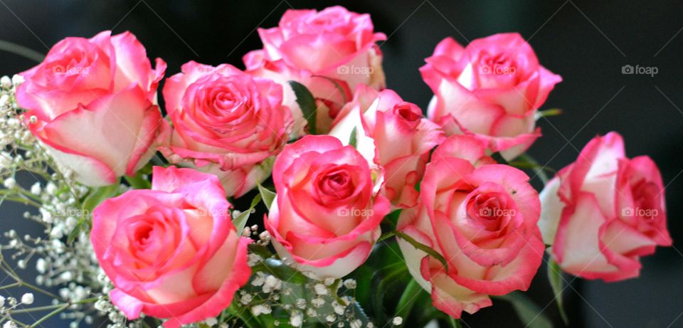 Rose, Love, Flower, Bouquet, Romance