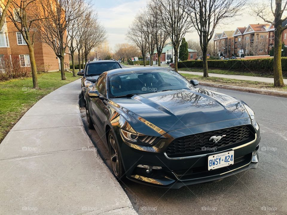 Ford Mustang, Spring ,black , sunny , clouds 