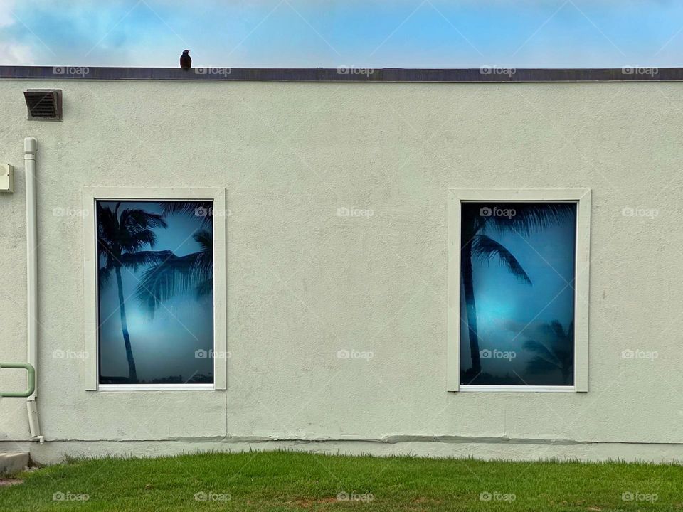 Palm trees reflected in the windows of a squat cement building with a black bird perched on the roof