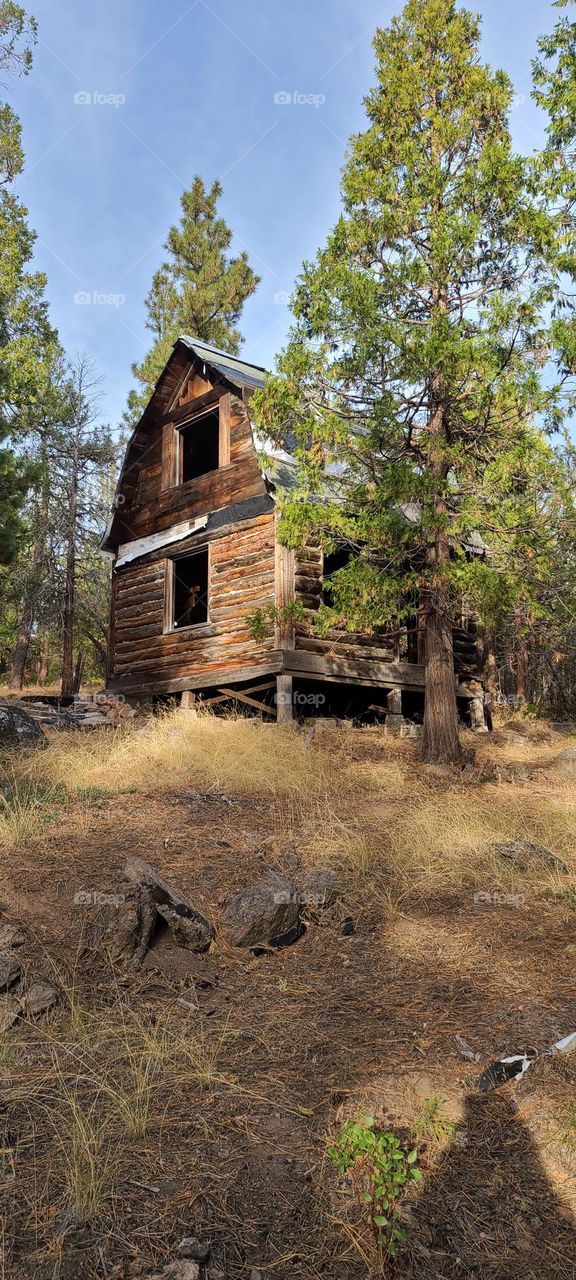 Abandoned log cabin, in California.  Someone's dream slowly decays, all alone.  It might have been a grand homestead, but is now just an abode of spiders, wasps and ghosts.