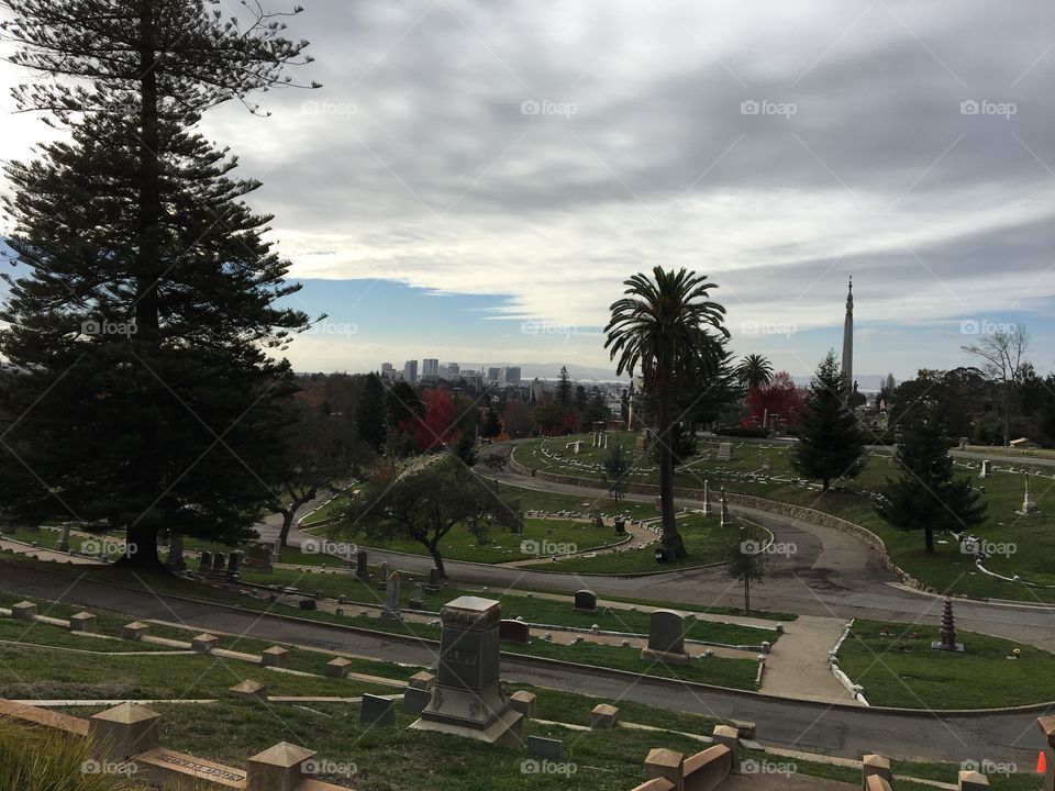 Hilltop graveyard overlooking Oakland and San Francisco 