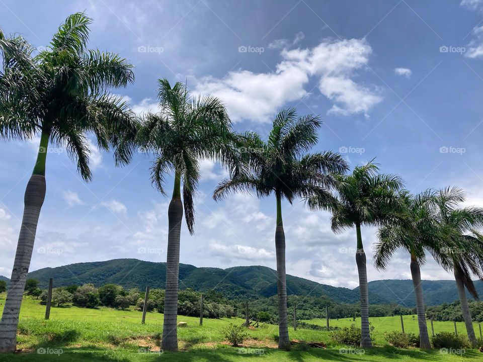 Quem é de Jundiaí sabe: a Serra do Japi é encantadora.

O azul e o verde me encantam.
