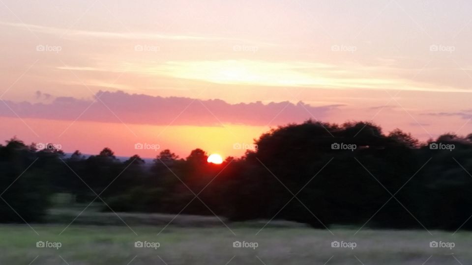 Sunset on a farm in Texas .