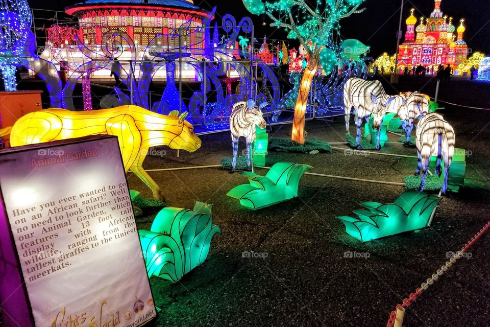 ILLUMINATION of Lights