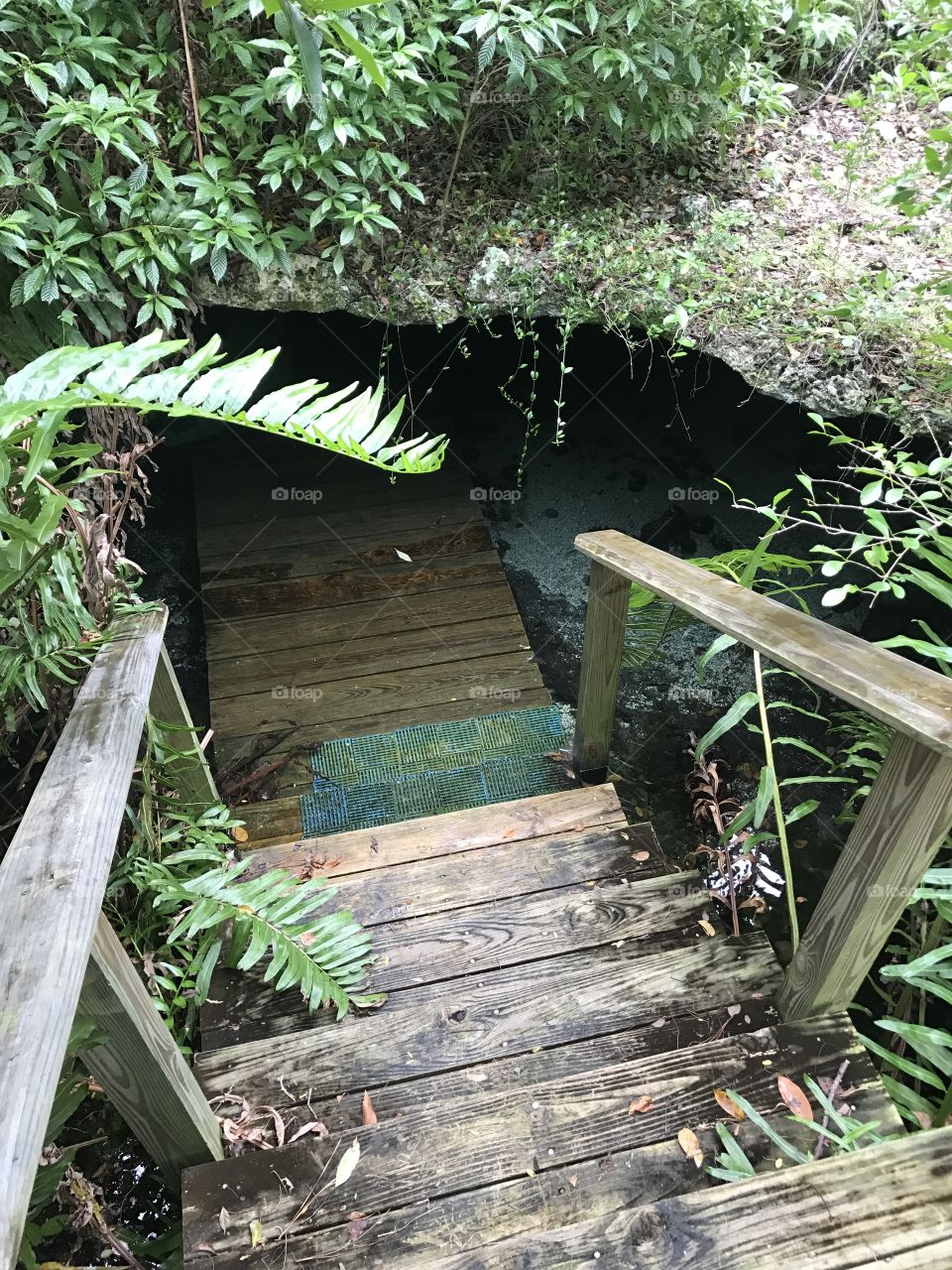 Entrance to underwater cave 