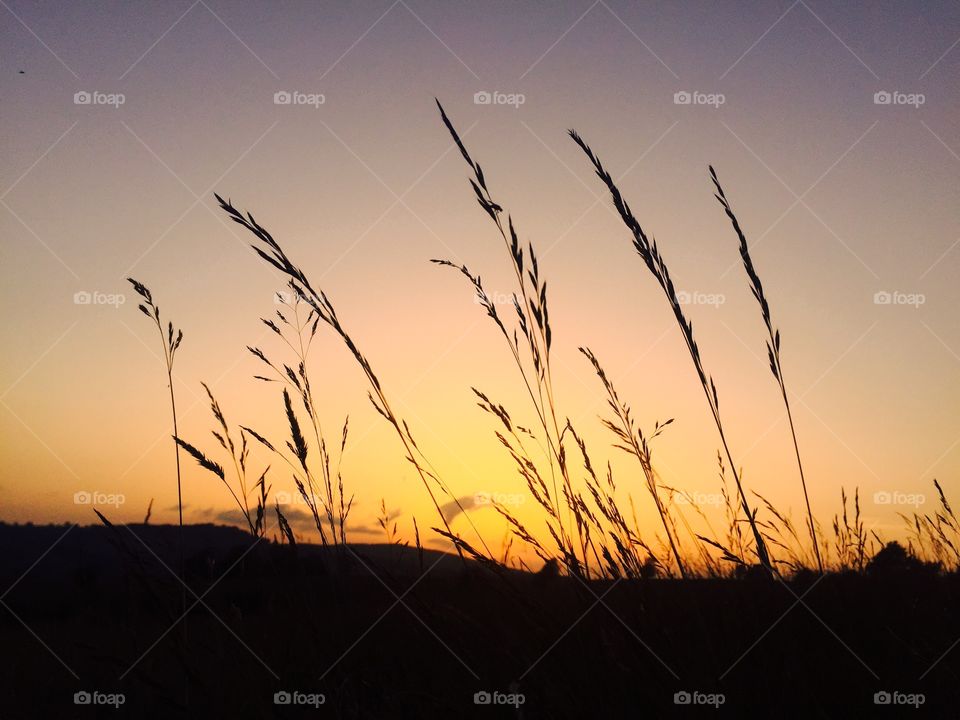 Sunset, Dawn, Sun, Backlit, Landscape