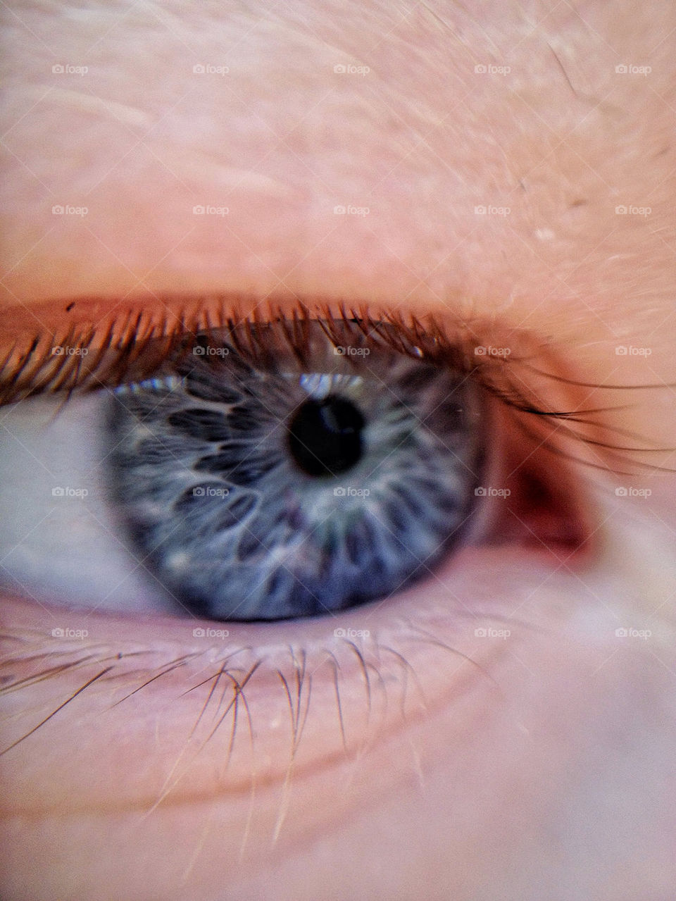 Close-up of blue eye