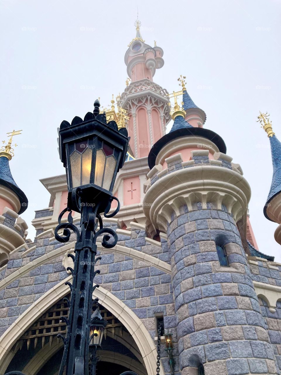 The Disney Castle covered in mist