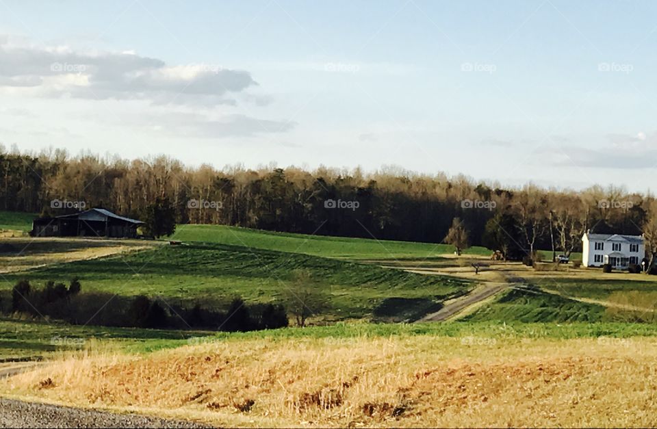 Barn, Road & House