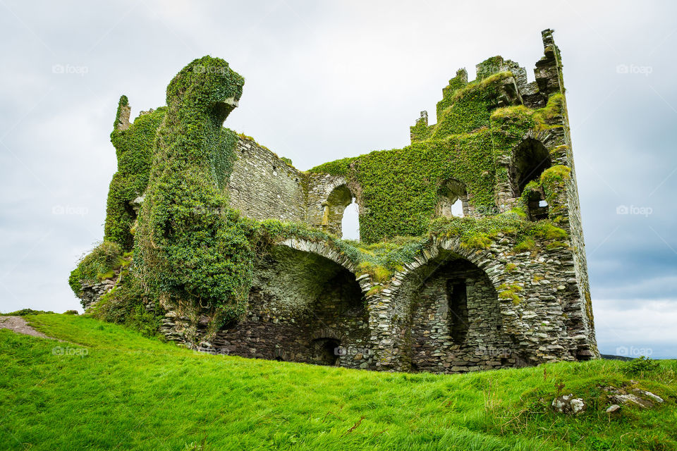 An old castle ruin close to Cahersiveen a sea town in County Kerry close to Killarney in Ireland. The walls are covered with greenery creating a beautiful landscape sight of the ancient ruin.