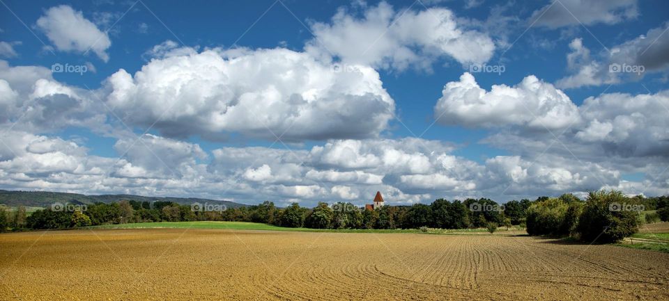 Beautiful farm and forest natural landscape