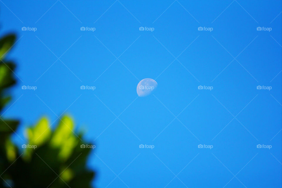 moon in blue sky