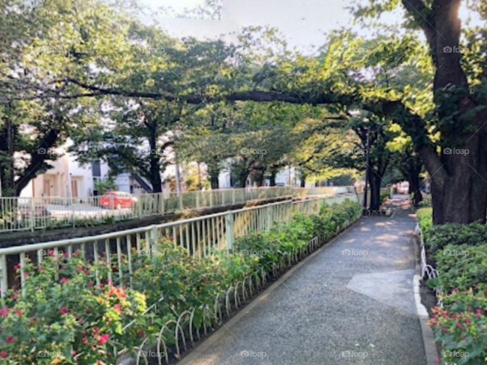 Красивые места Токио 