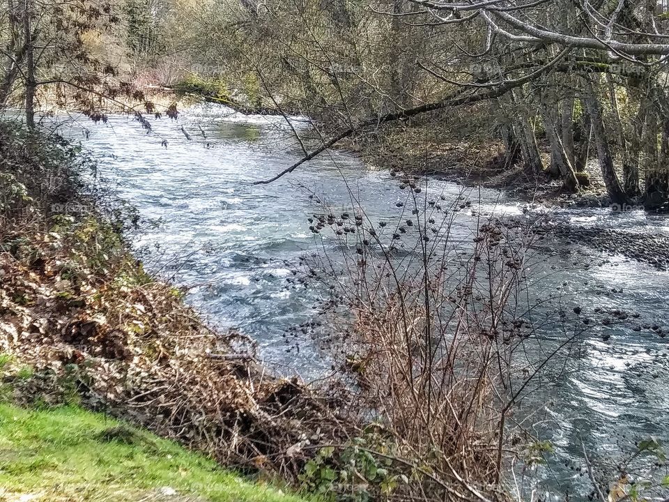 view downstream