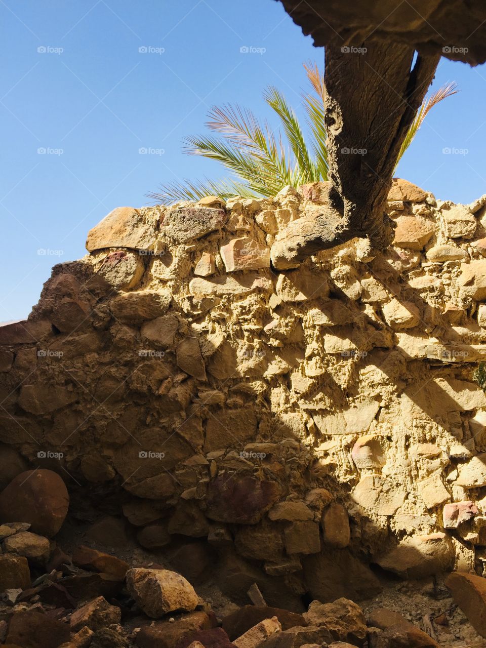 بناية قديمة