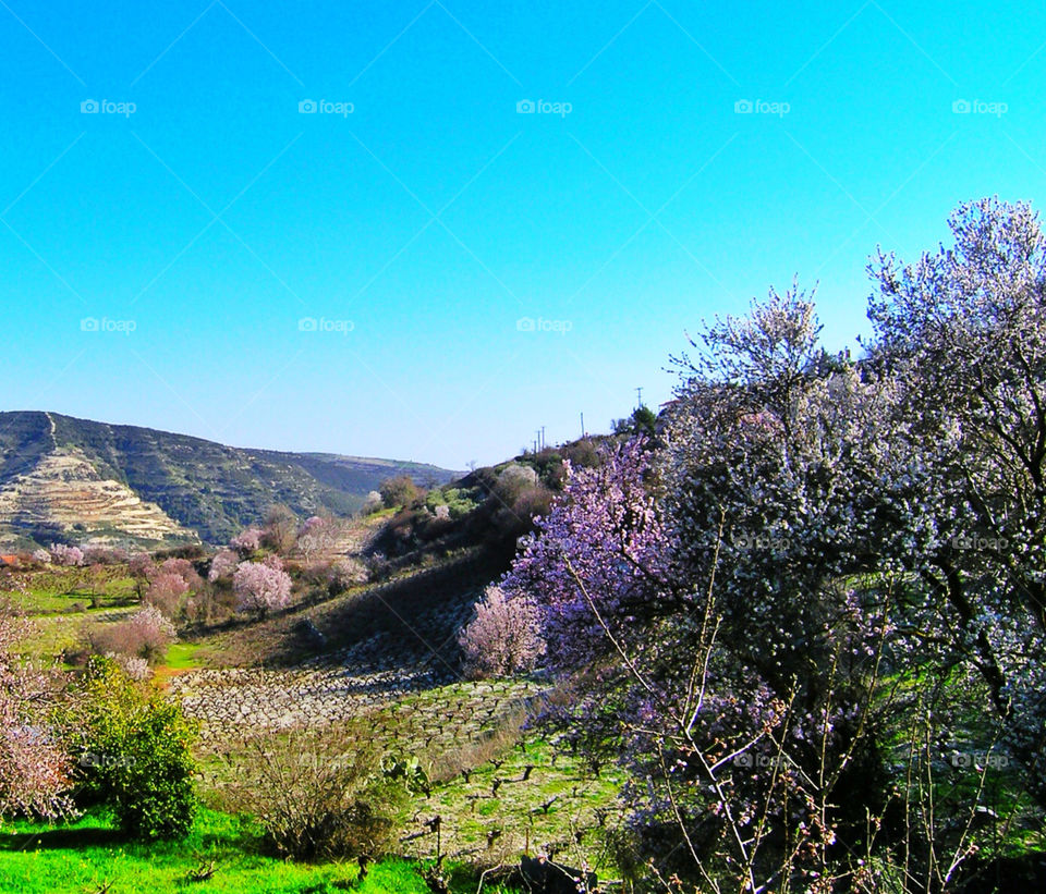 Omodos,Troodosmountains