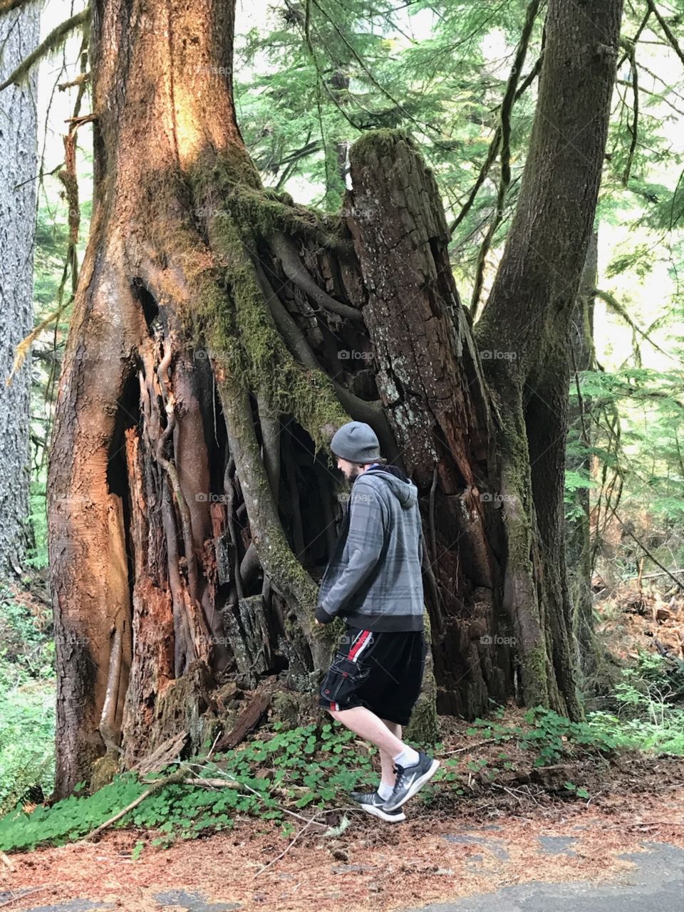 Another pic at the cool tree/s