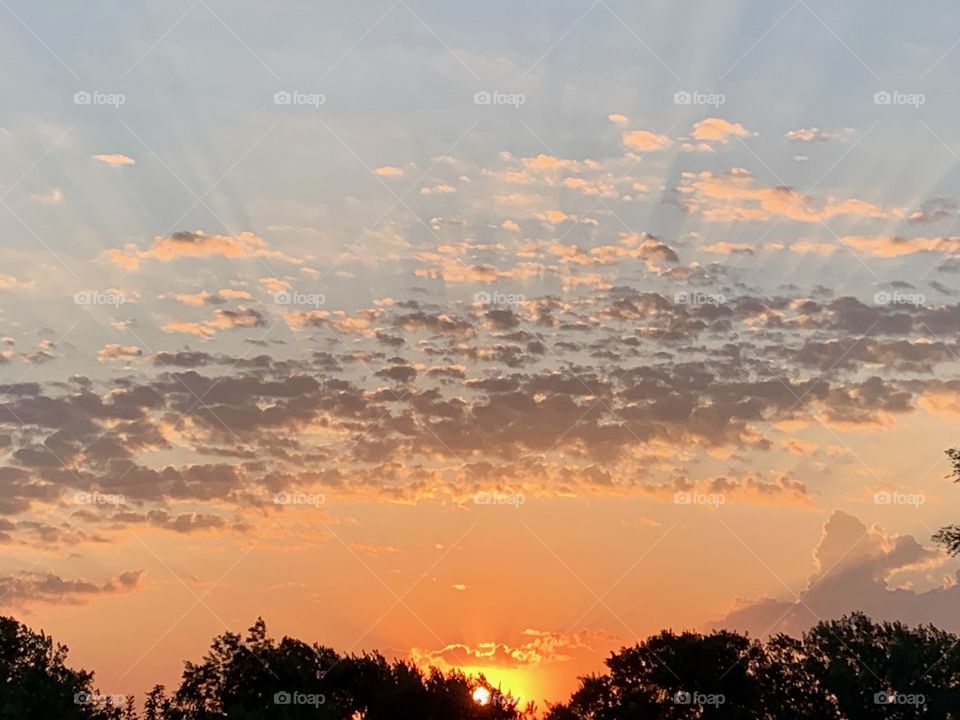 Striated popcorn clouds in a brilliant orange sky above the visible rays of a blazing sun and silhouetted treetops - landscape