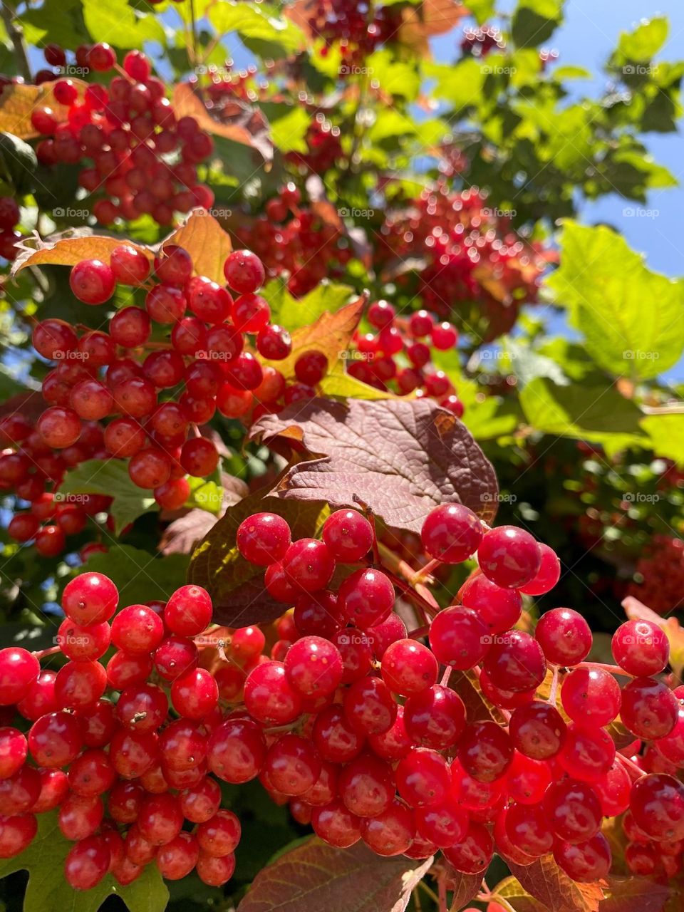 bright colors in minimalism