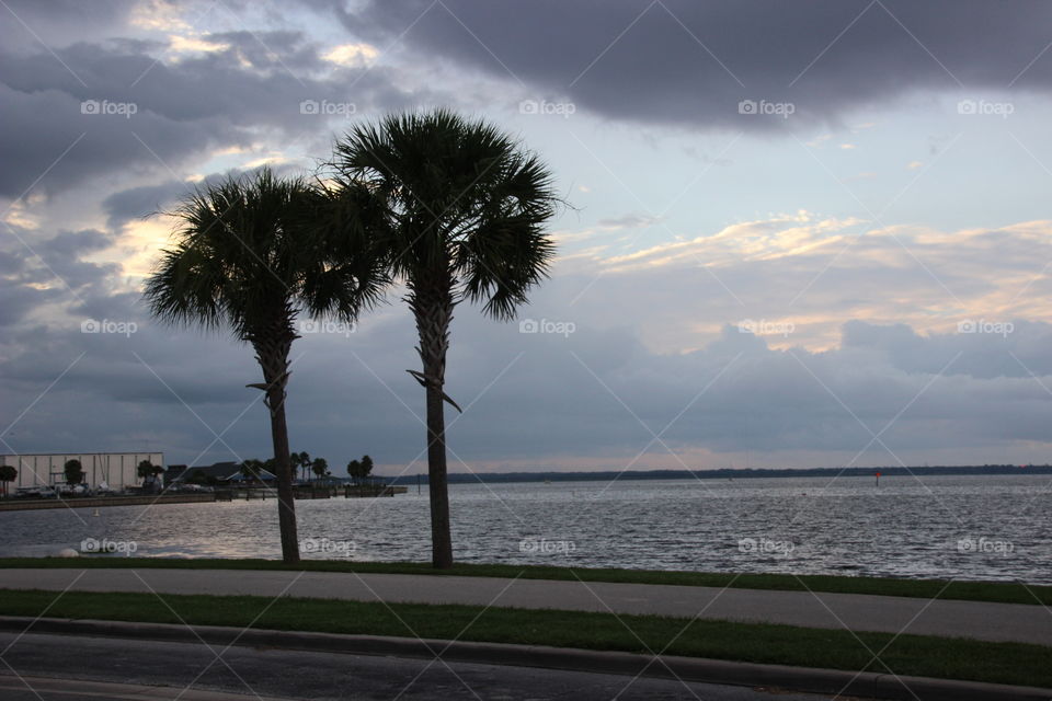 Sunset over the palms