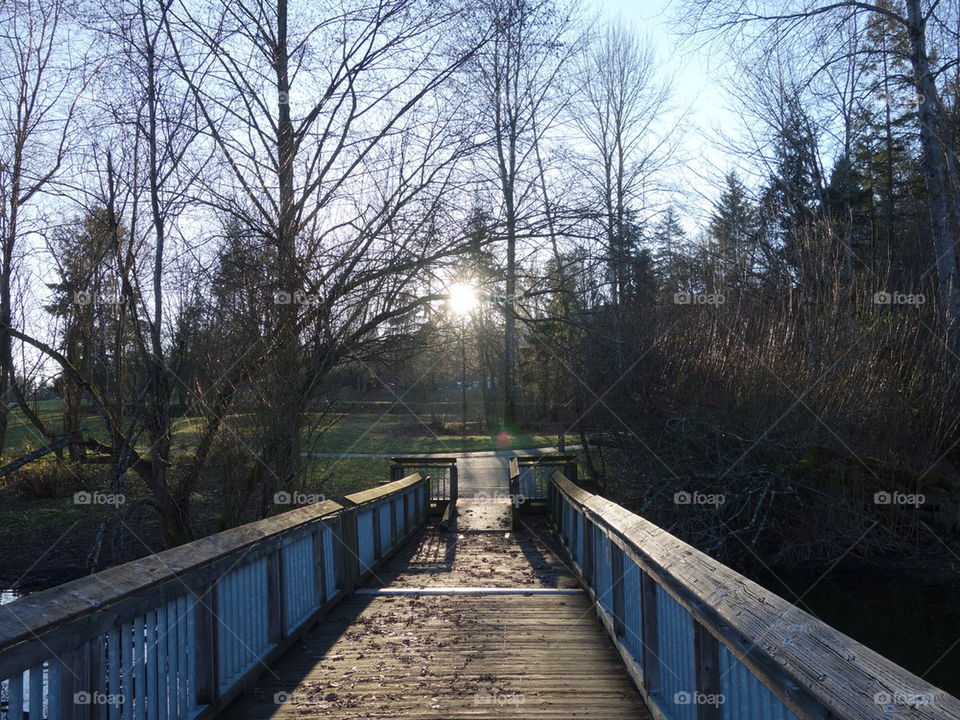 boardwalk at the lake