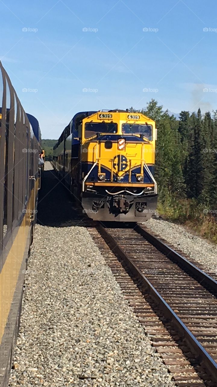 Alaskan Train