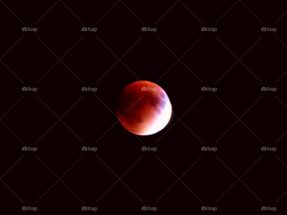 blood moon