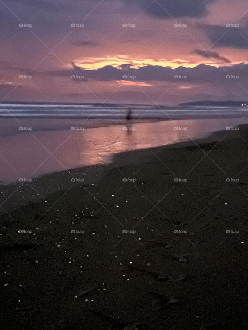 Branch after sunset in the night 