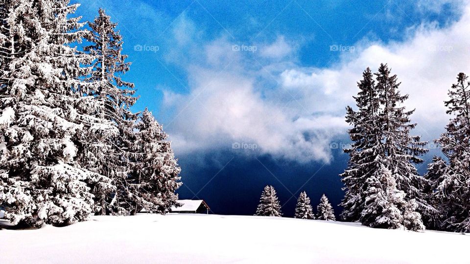 Winter in Switzerland 