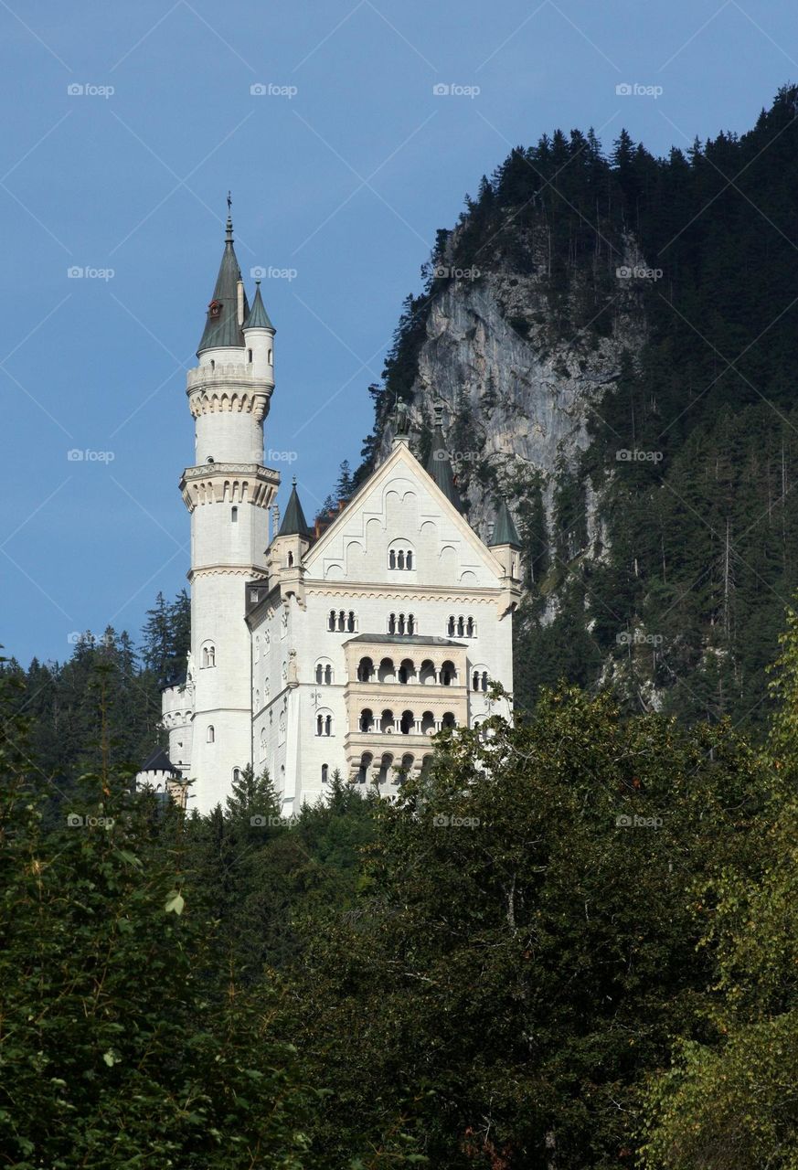 Castle in the Mountains