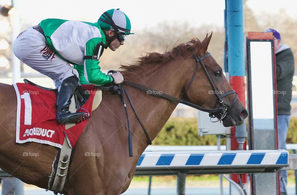 Mr. Buff with Junior Alvarado by Fleetphoto